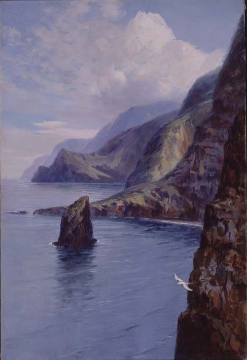 Molokai Bluffs, Hawaii af D. Howard Hitchcock