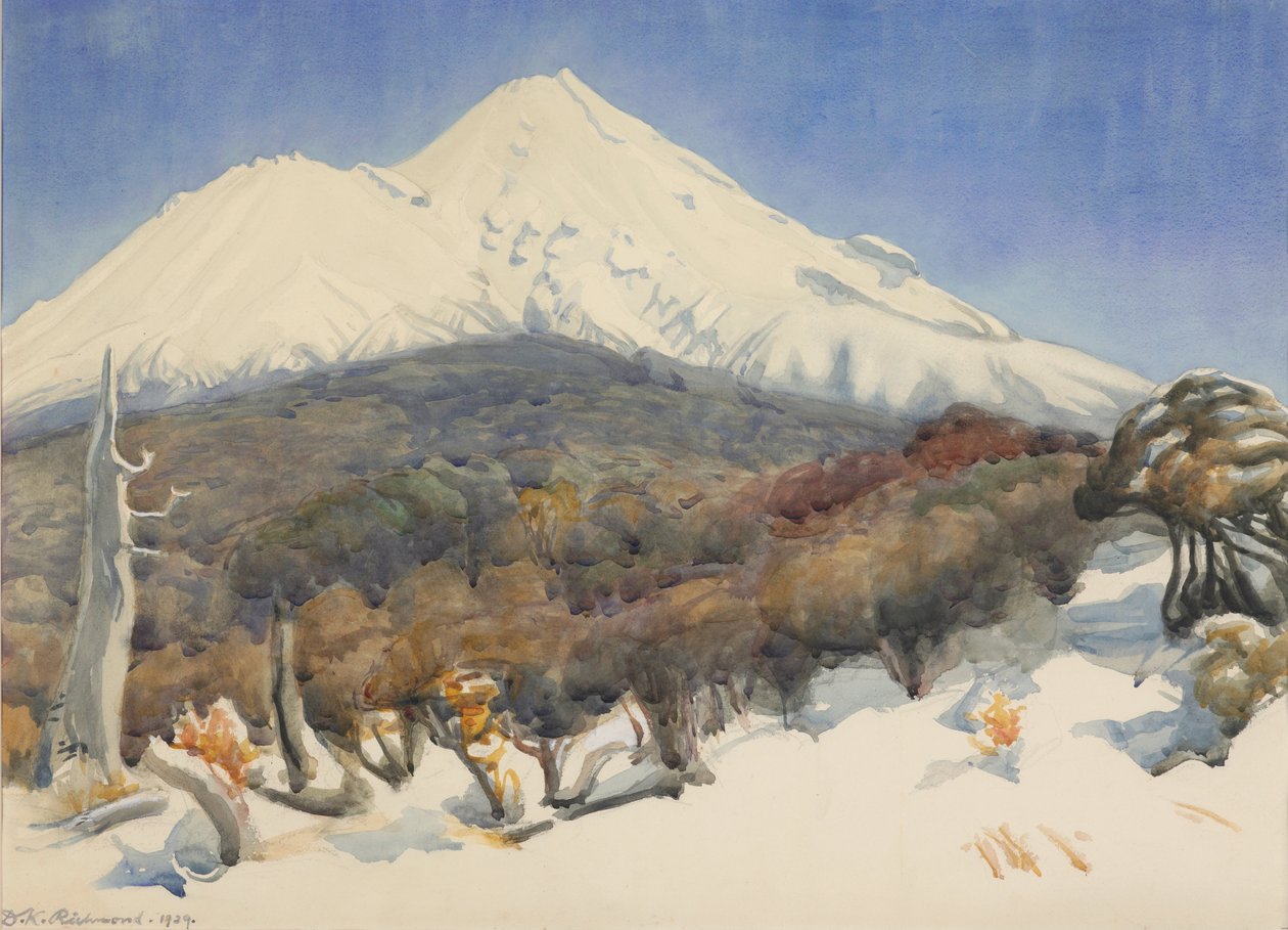 Mount Egmont af D. K. Richmond