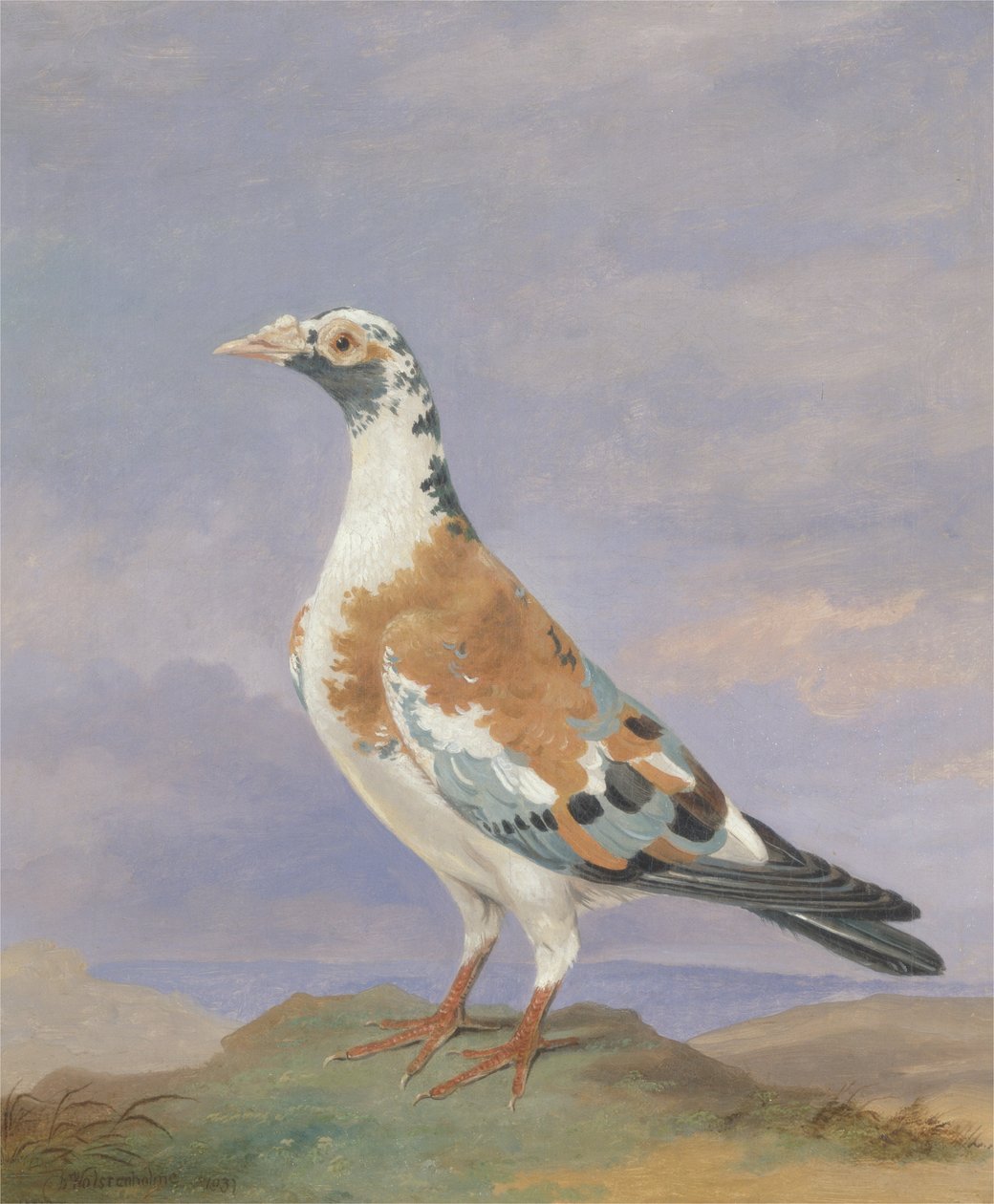Grizzle brevdue af D. the Younger Wolstenholme