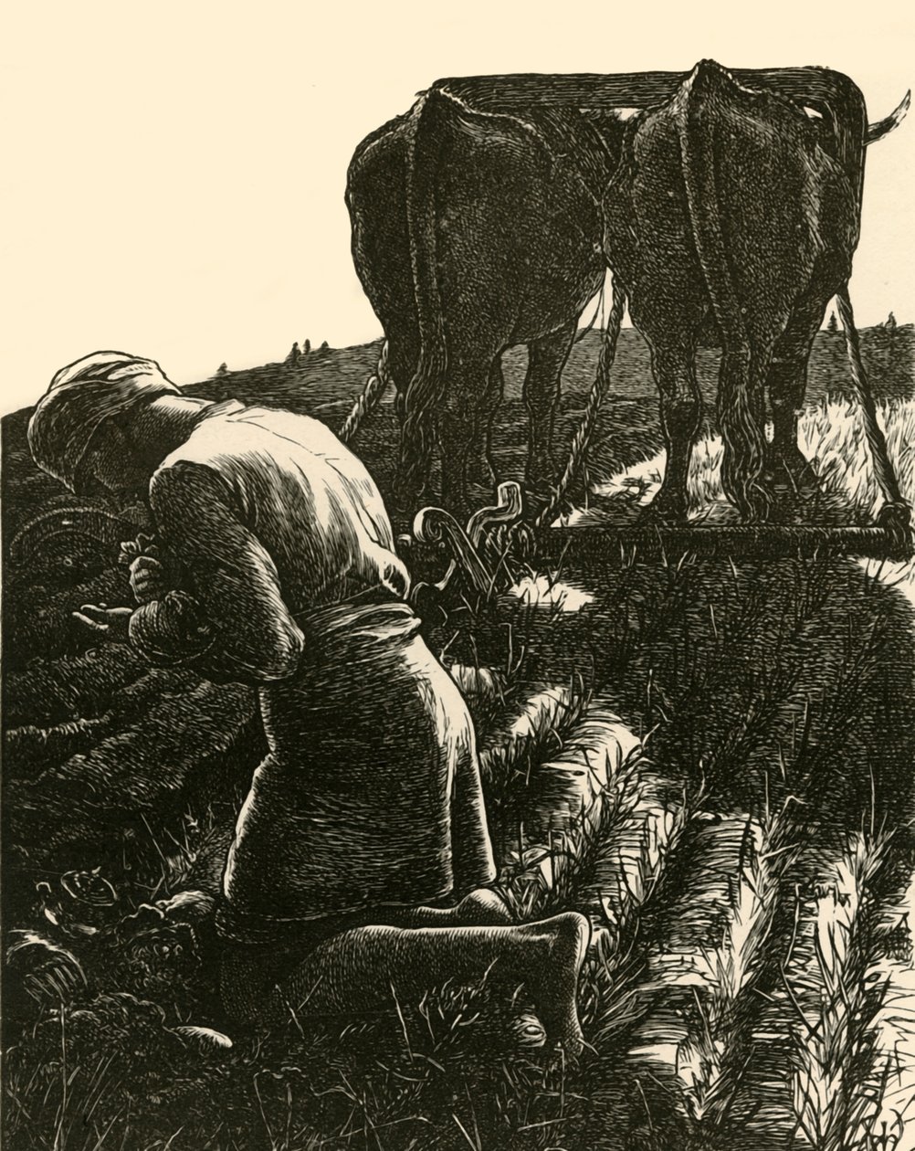 Den skjulte skat, 1864, 1928. af Dalziel Brothers