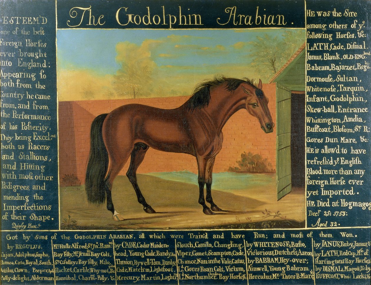 Godolfin-araberen af Daniel Quigley