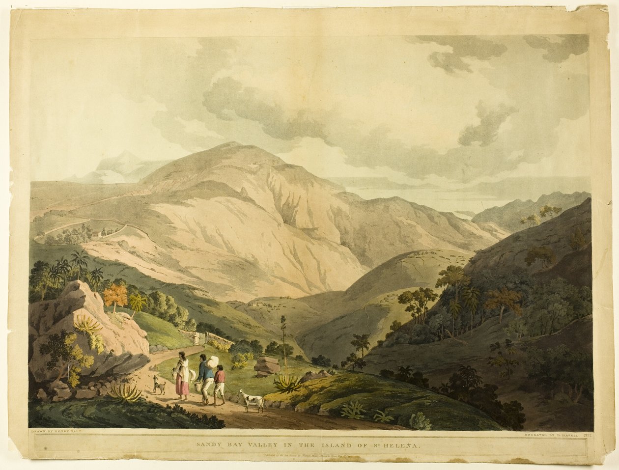Sandy Bay Valley, St. Helena af Daniel Havell