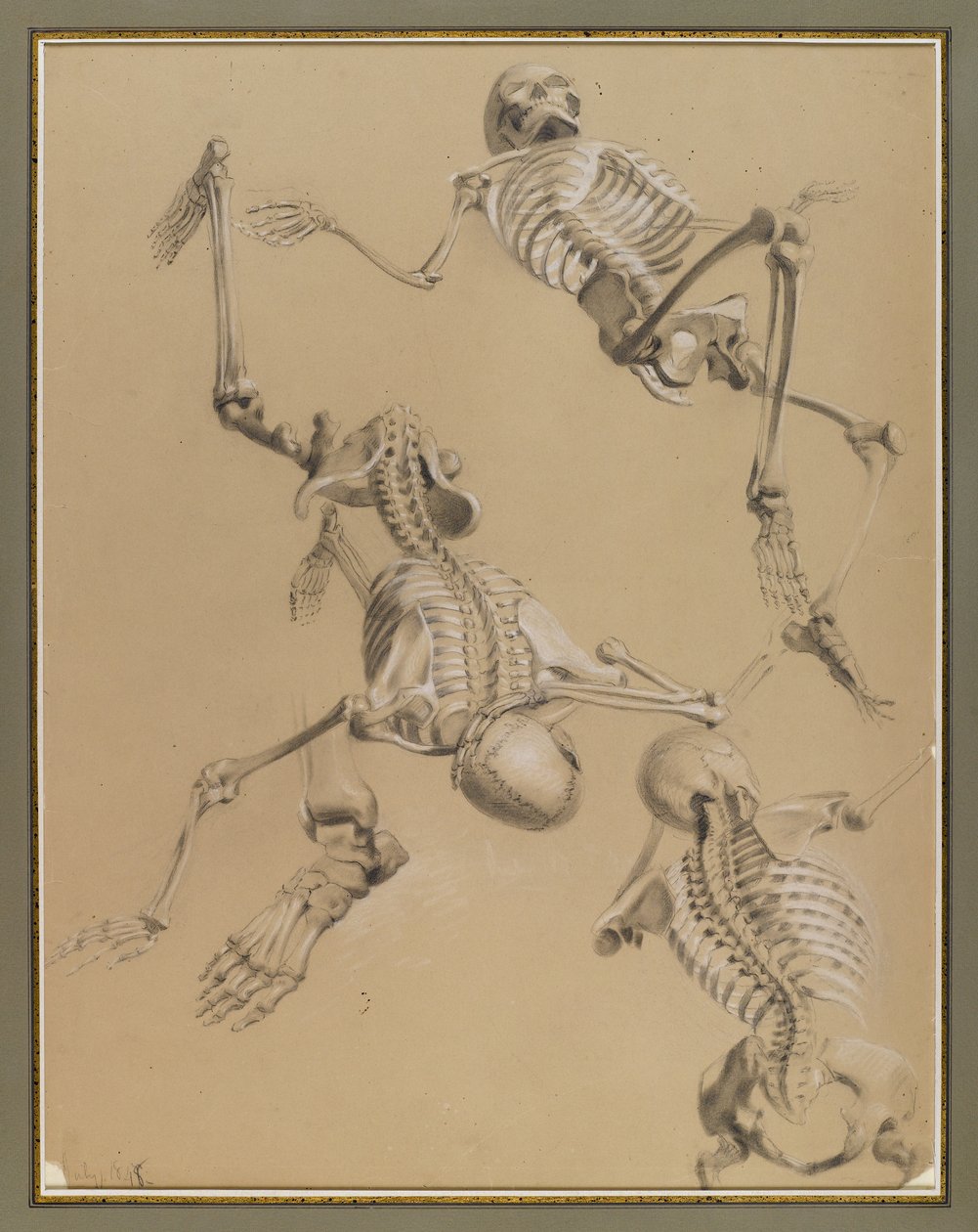 Studie af skeletter, 1848 (kridt på papir) af Daniel Huntington