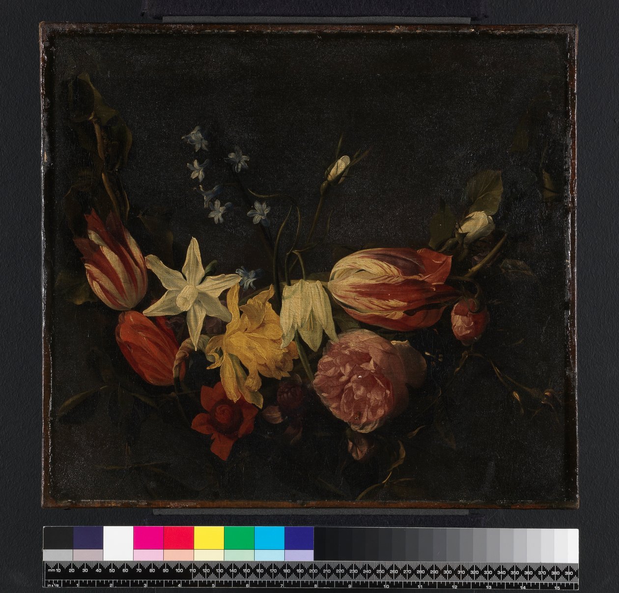 Feston af blomster, før 1661 af Daniel Seghers