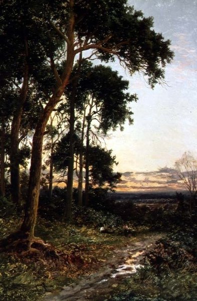 Skovstien af Daniel Sherrin