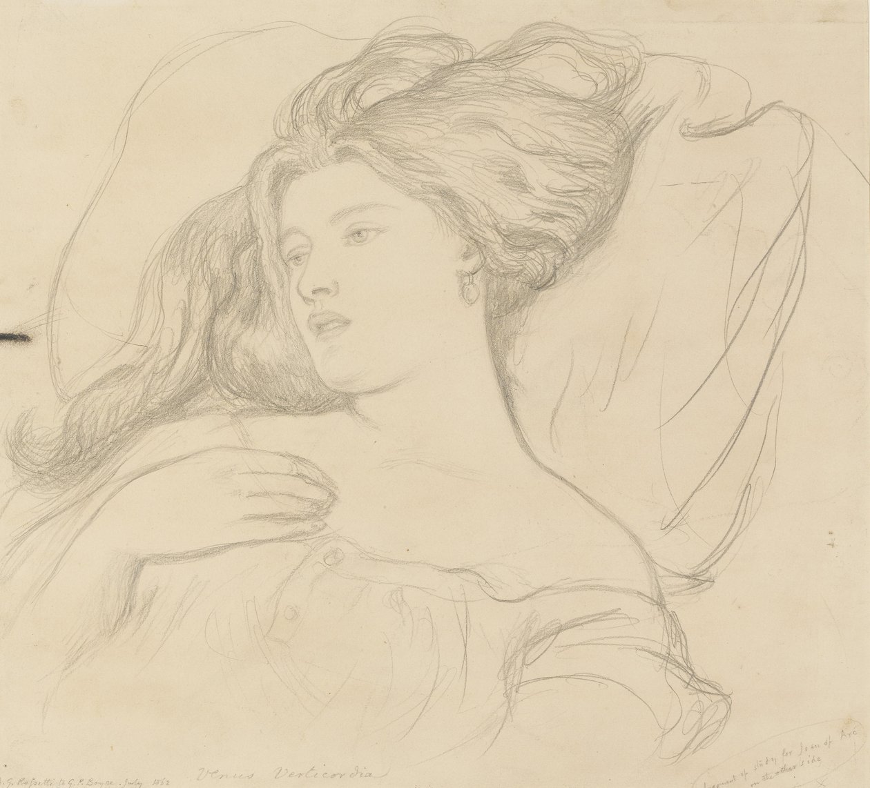 Fanny Cornforth, undersøgelse for 