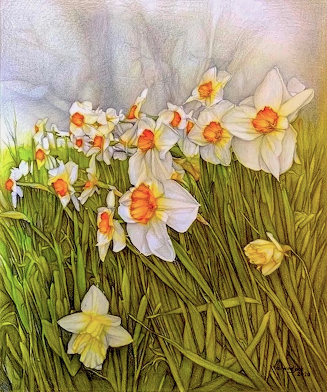 Dancing Daffodils, 2020 (blyant på papir) af Darrell Windjack
