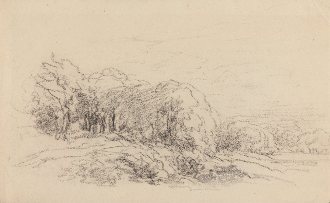 Landskab med træer af David Cox