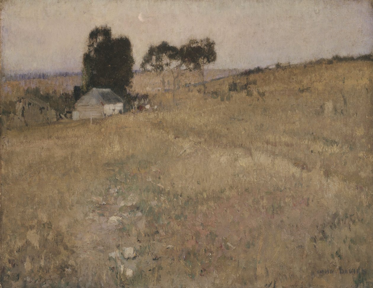 En sommeraften af David Davies