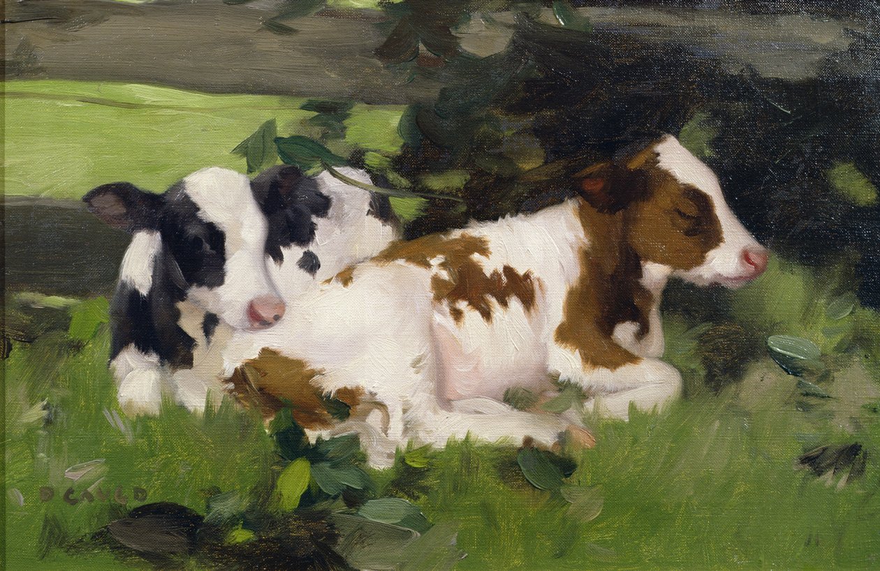 Ayrshire-kalve, ca.1890 af David Gauld