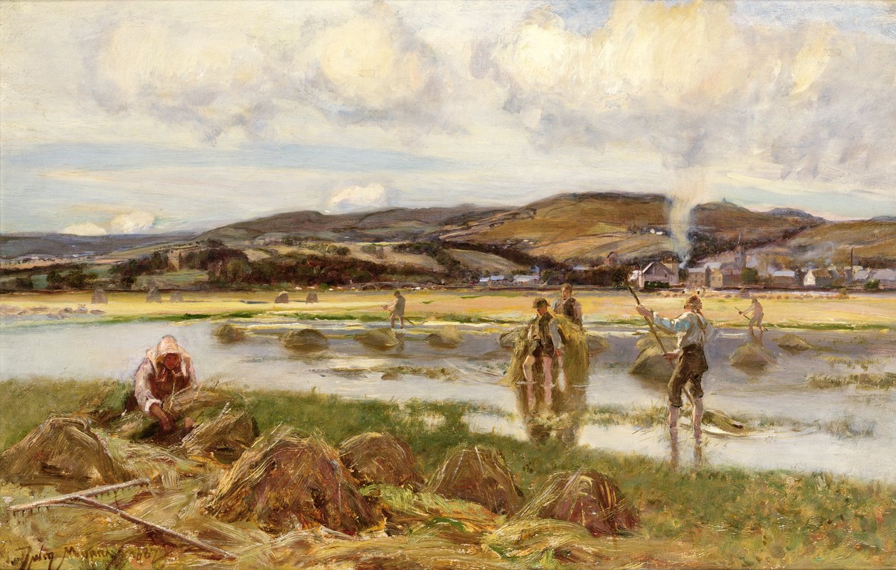 Reed-samlerne af David Murray