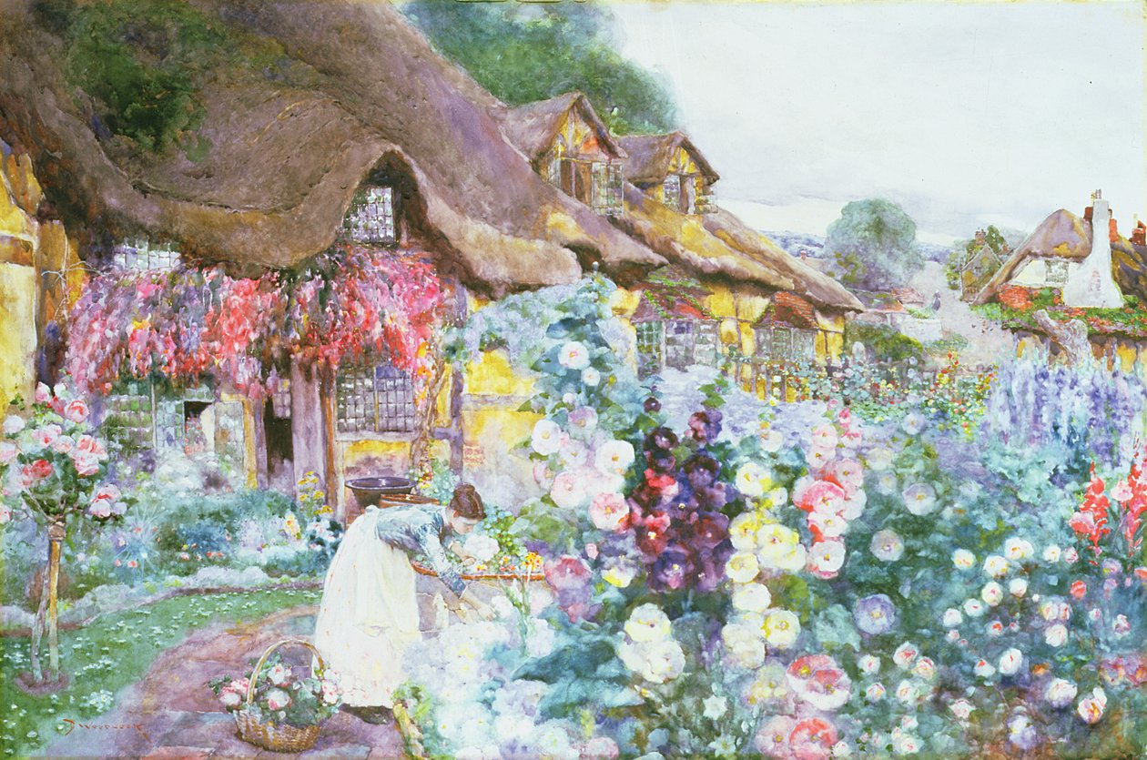 Hyttehaven af David Woodlock