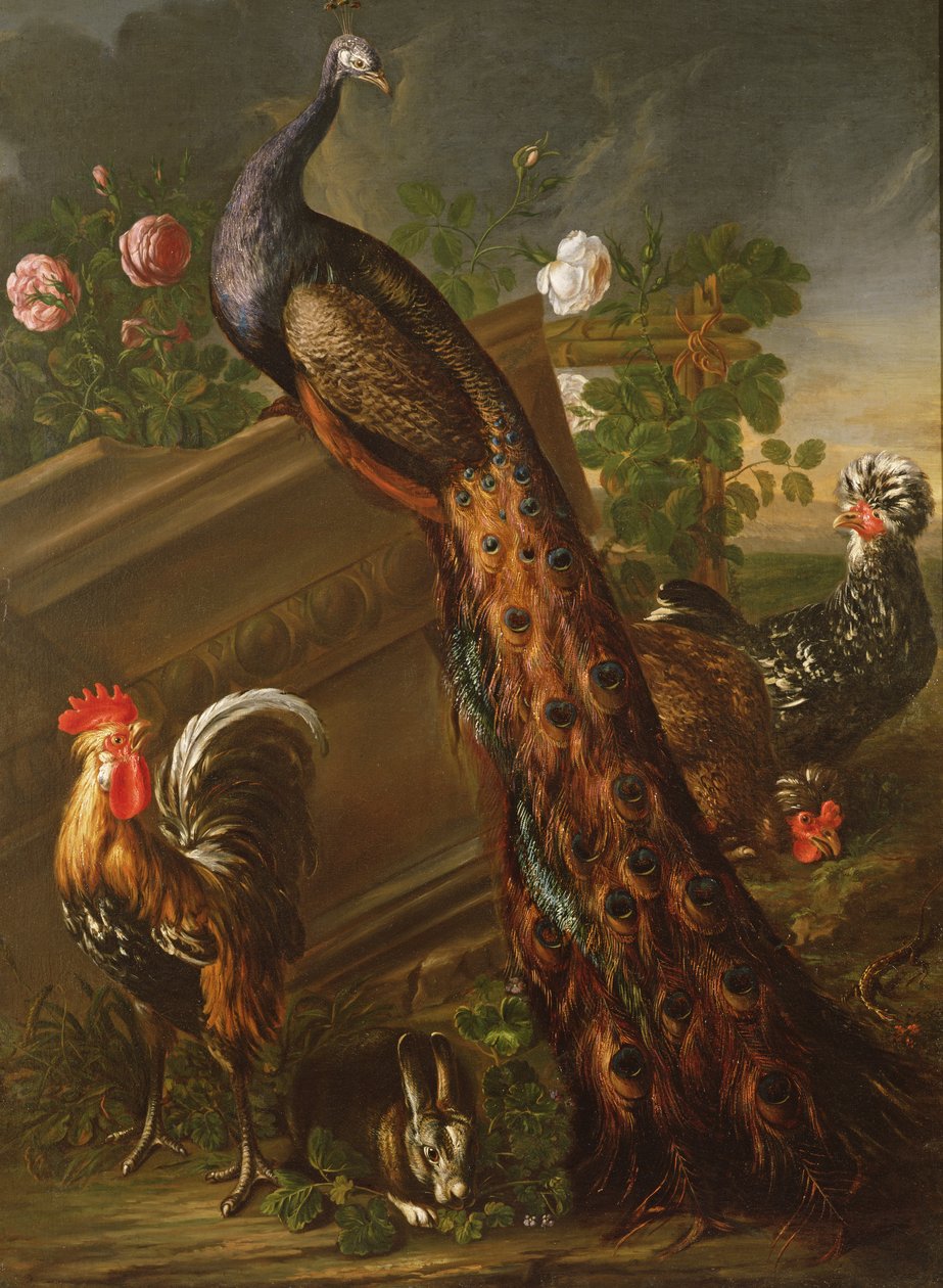Påfugl og haner, 1600-tallet af David de Koninck