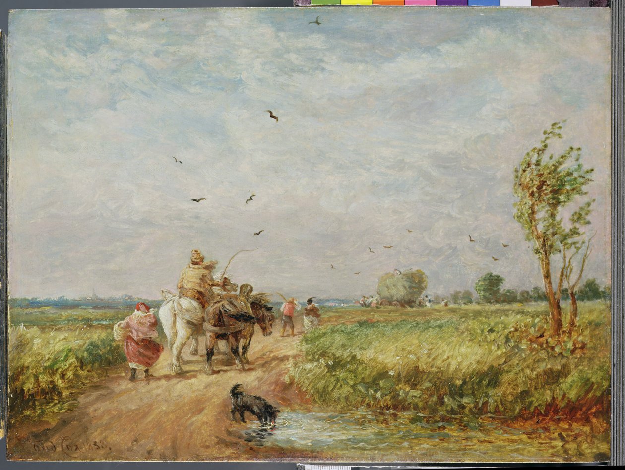 Går til hømarken af David Cox