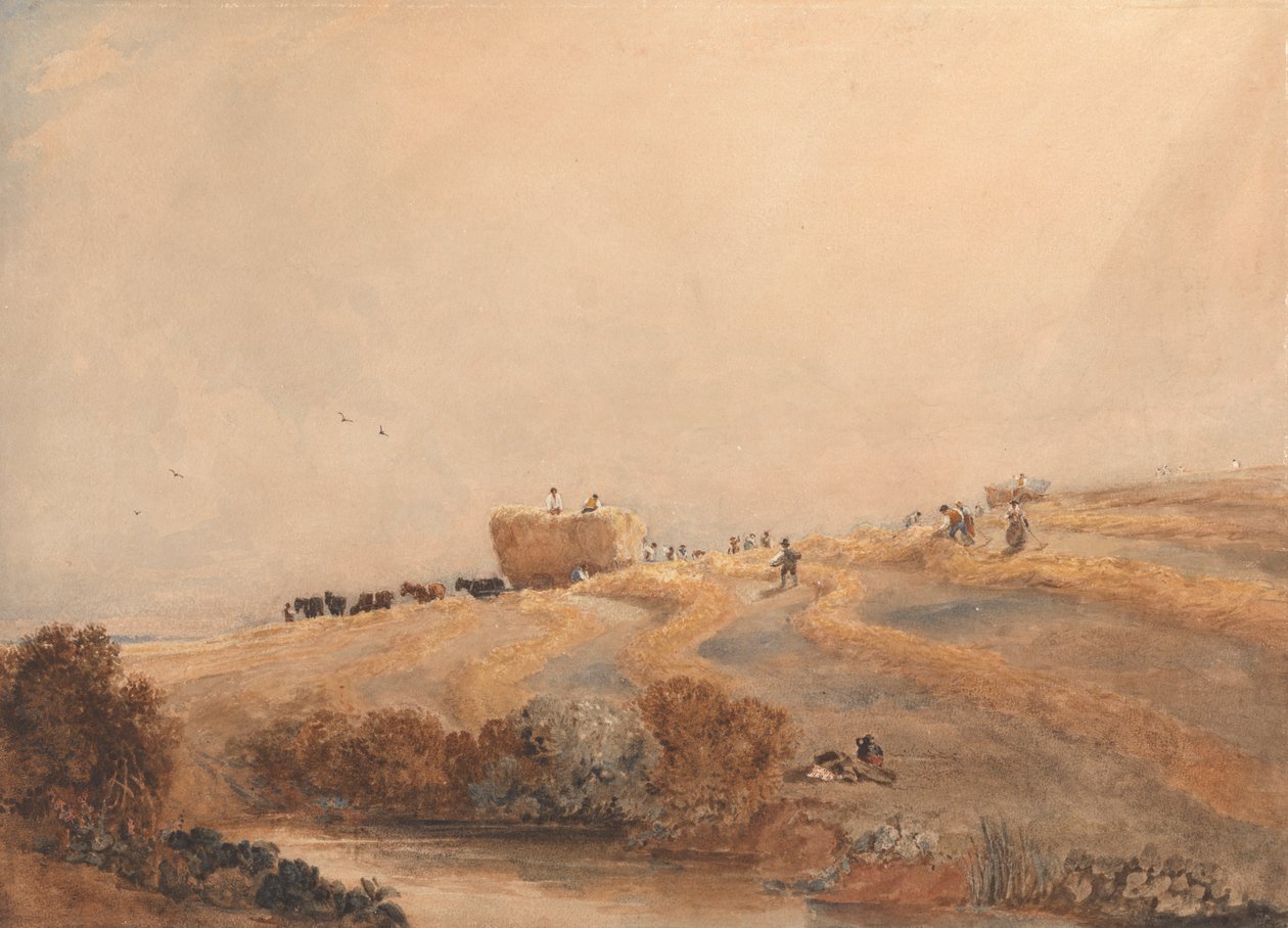 Høslæt af David Cox