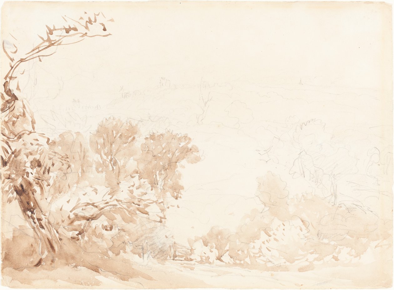 Skråning og træer af David Cox
