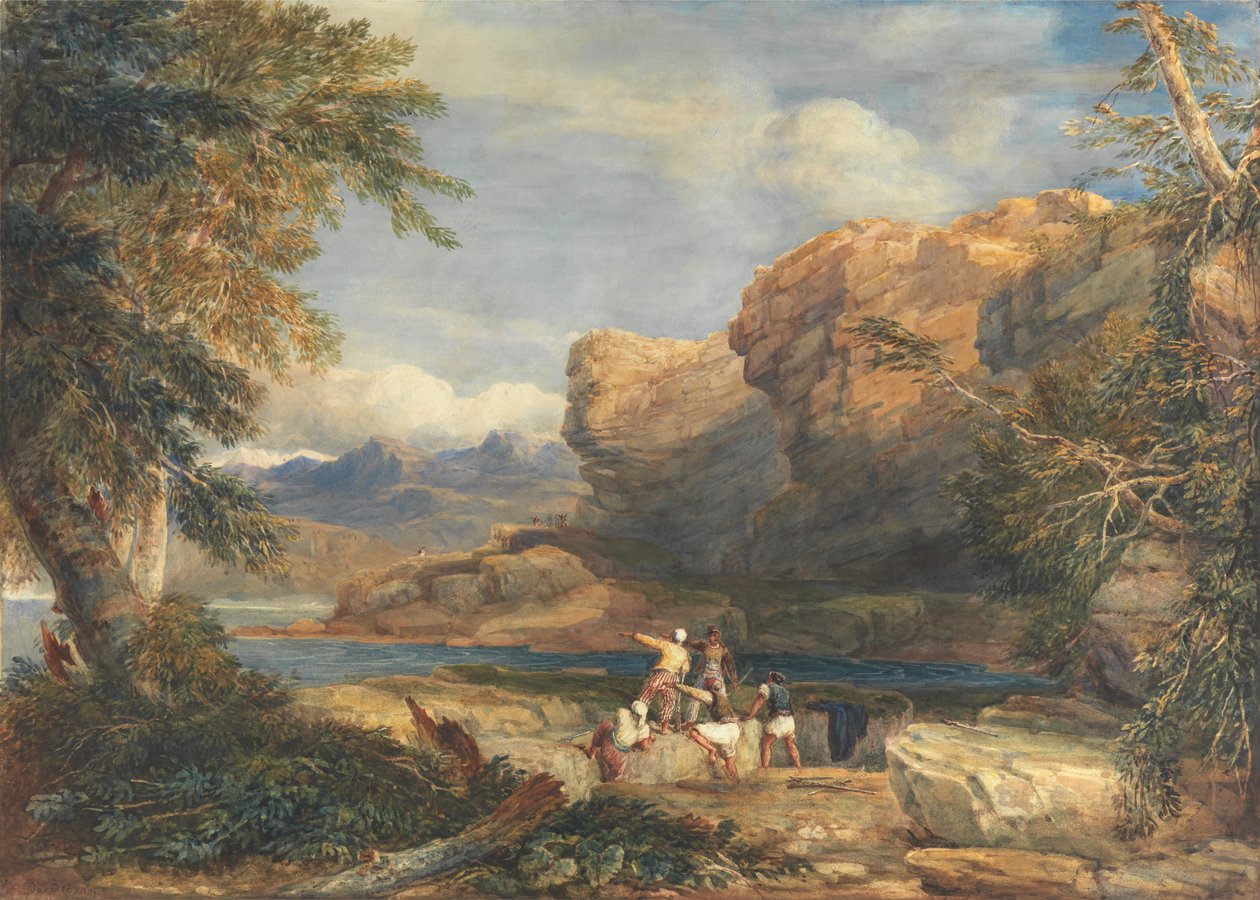 Piraternes ø af David Cox
