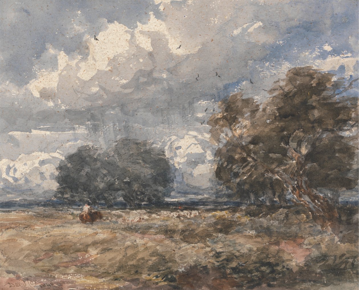 Hyrde flokken, blæsende dag af David Cox