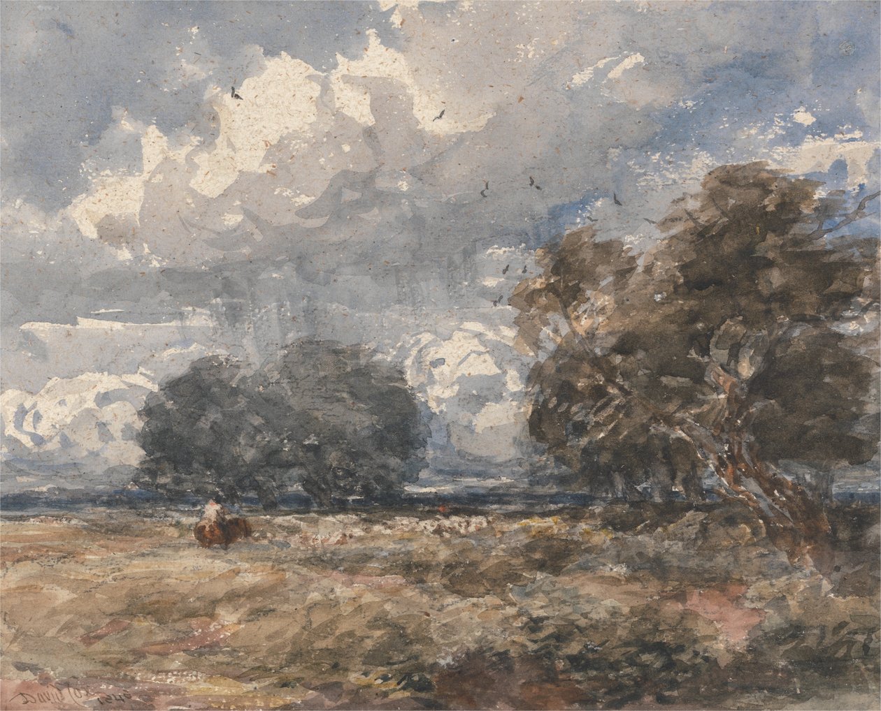 Hyrdning af flokken, blæsende dag af David Cox