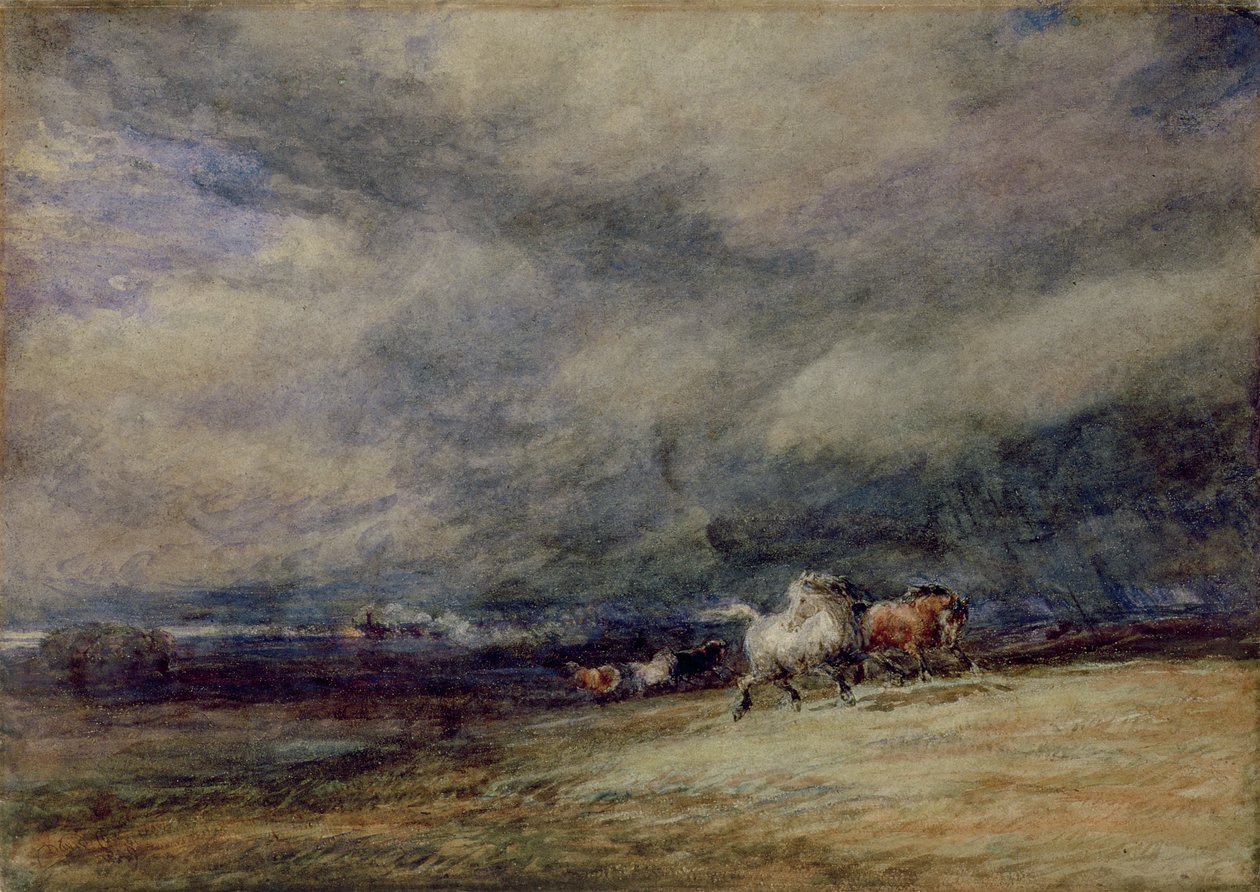 Nattetoget af David Cox