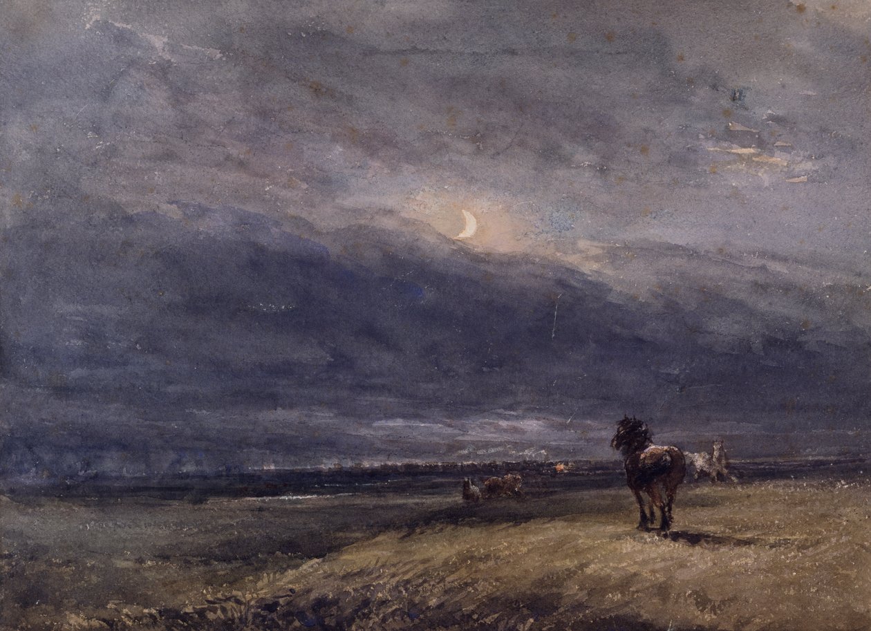 Nattetoget af David Cox