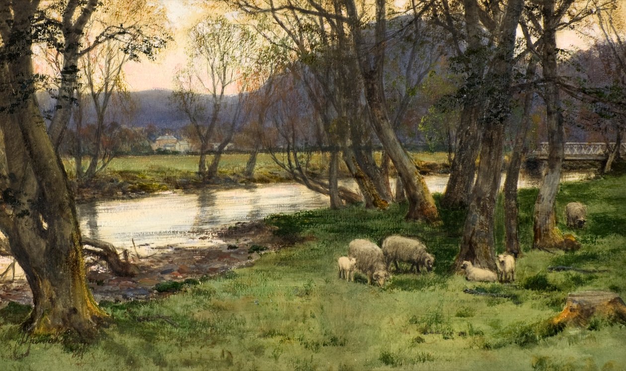Achray af David Farquharson