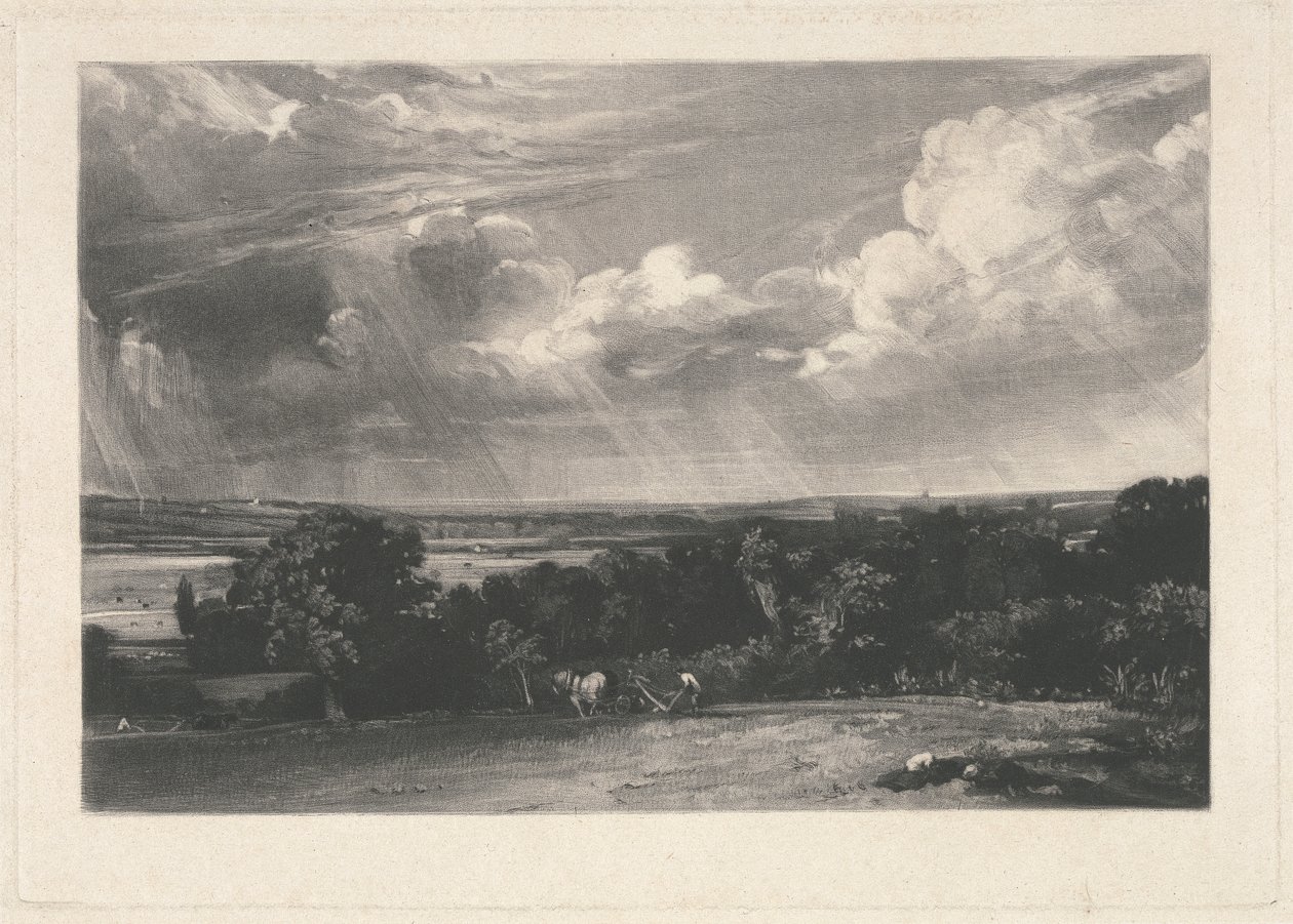 Et sommerland af David Lucas