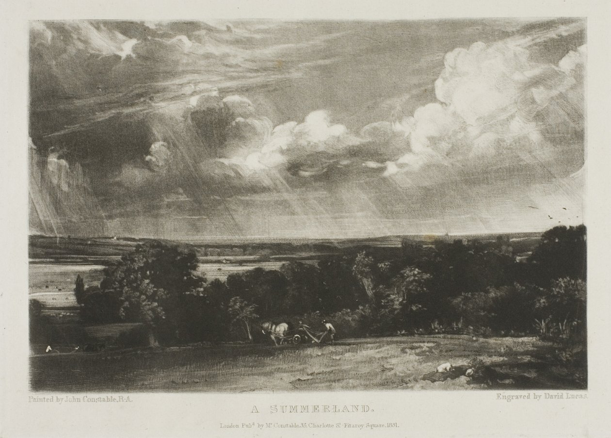 Et sommerland af David Lucas