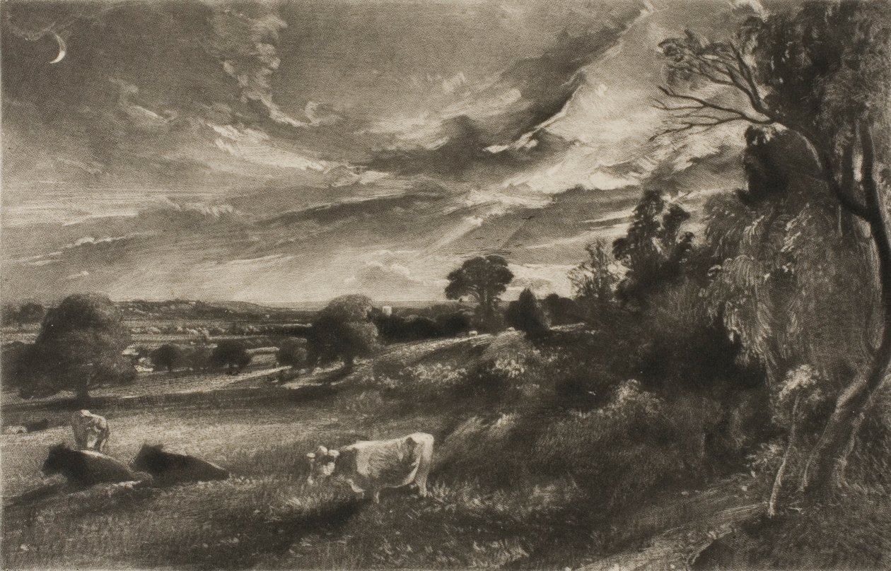 Sommeraften af David Lucas