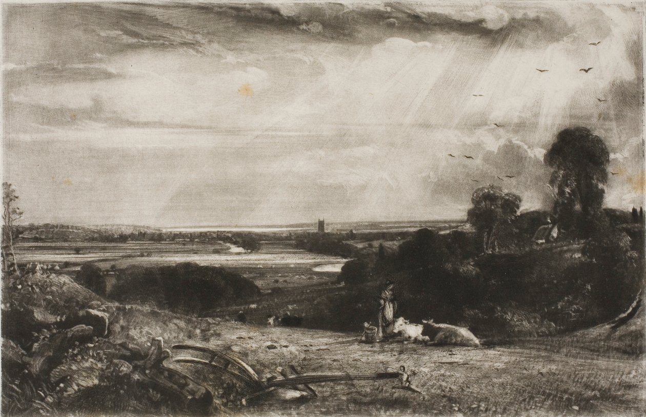 Sommermorgen af David Lucas