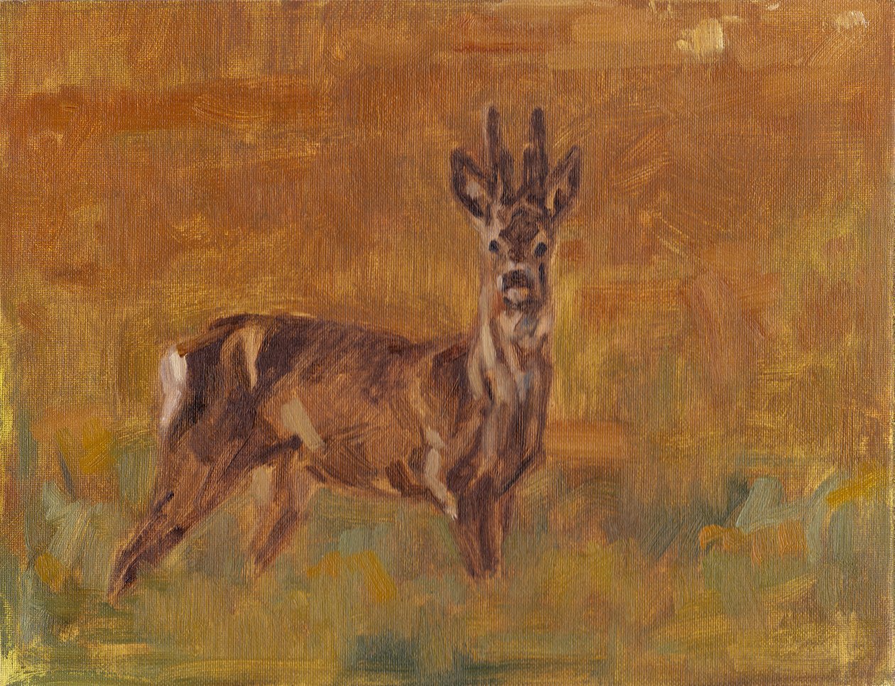 Roe Buck, 2021 af David Mayer