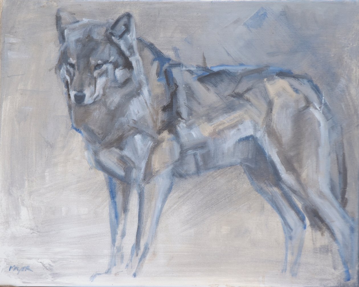 Wolf 1, 2023 (olie på lærred) af David Mayer