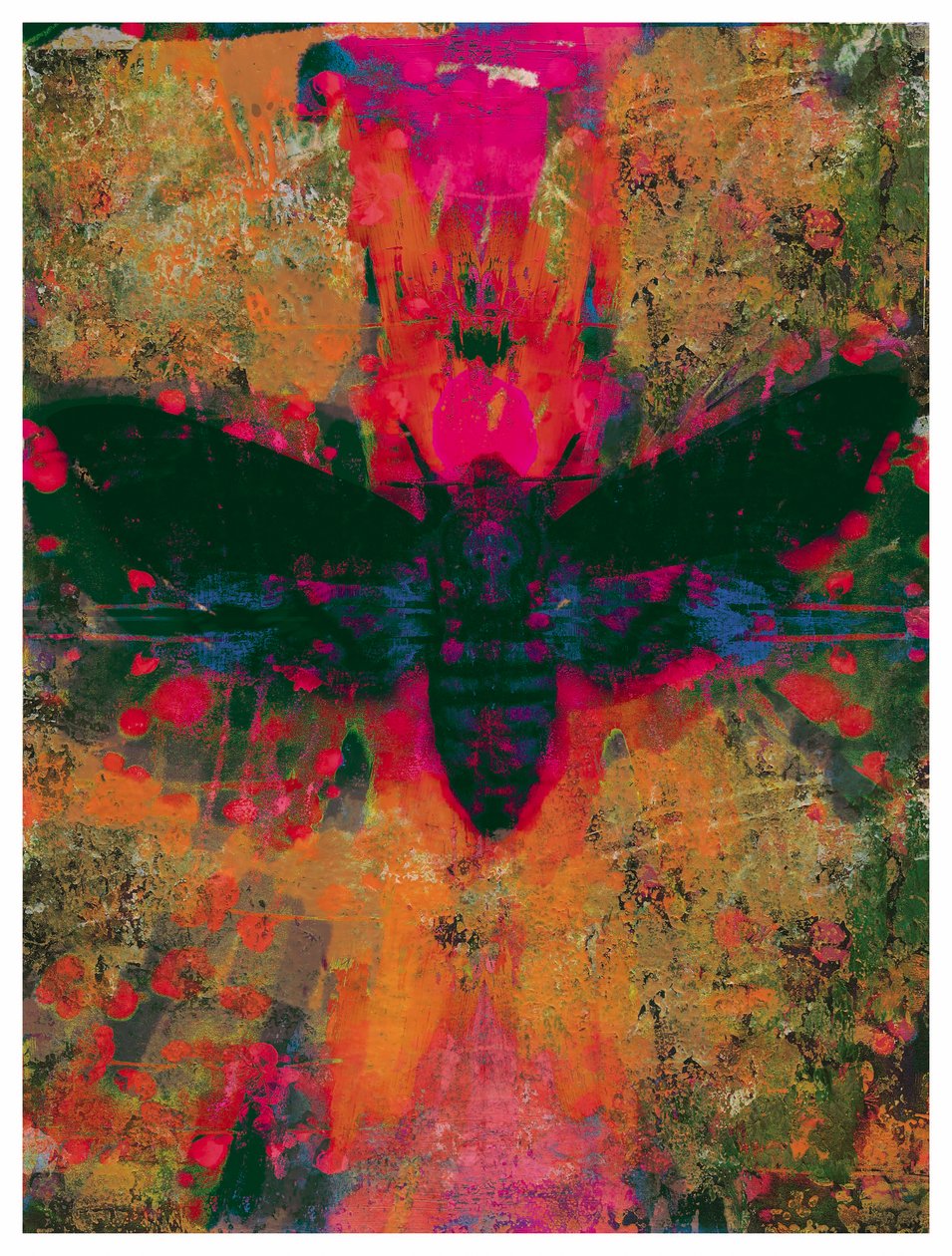 Death Moth Collage, 2016 (Collage på papir) af David McConochie