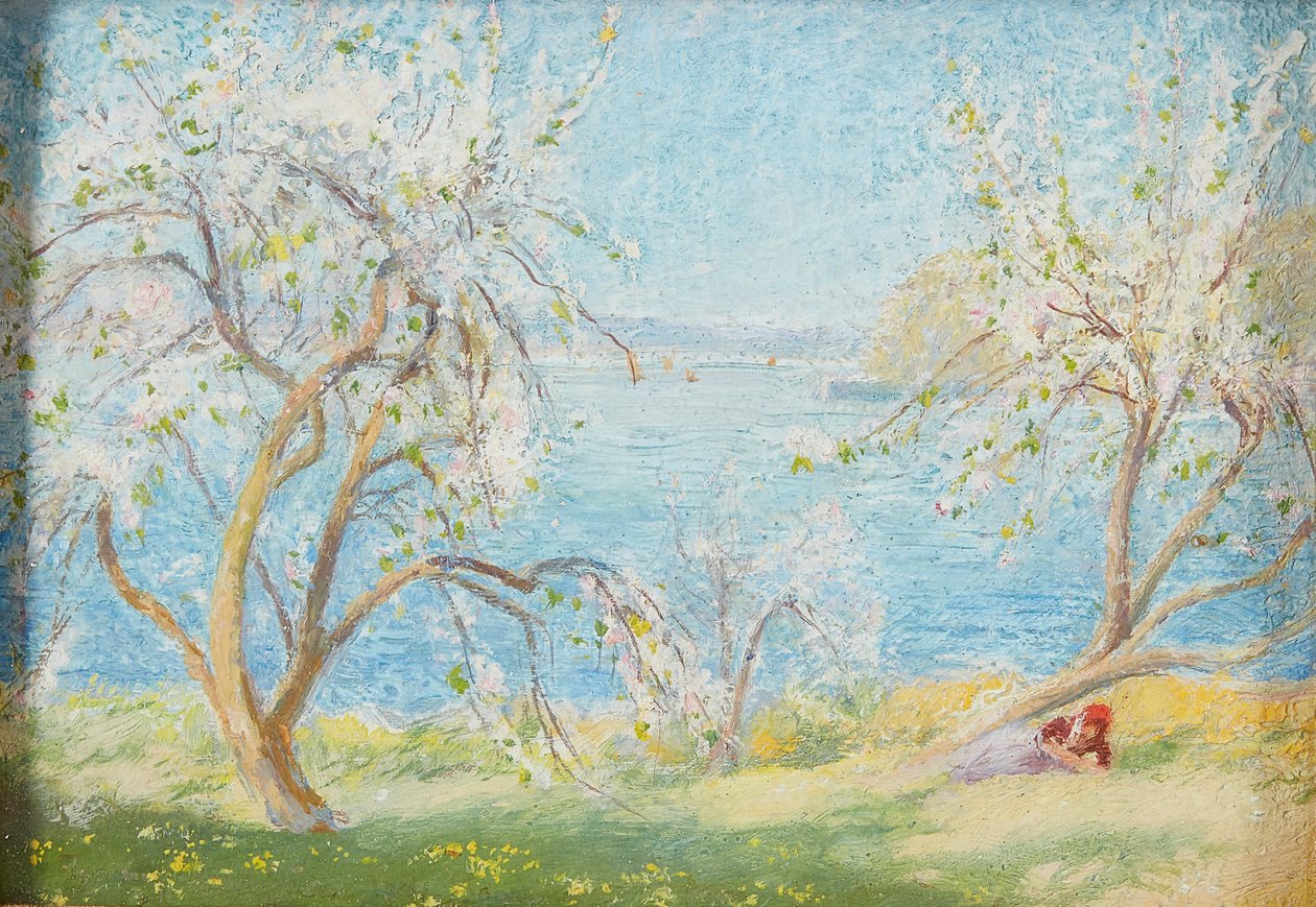 Forårssolskin (olie ombord) af David Murray
