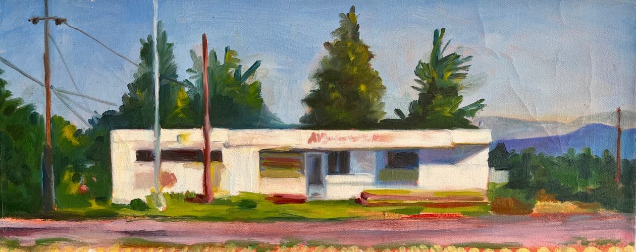 Vacant On Aurora af Deborah Stevenson