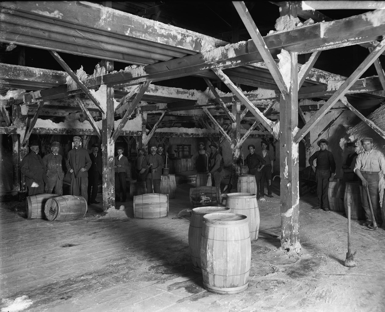 Del Ray Salt Co., ca. 1900-20 af Detroit Publishing Co.