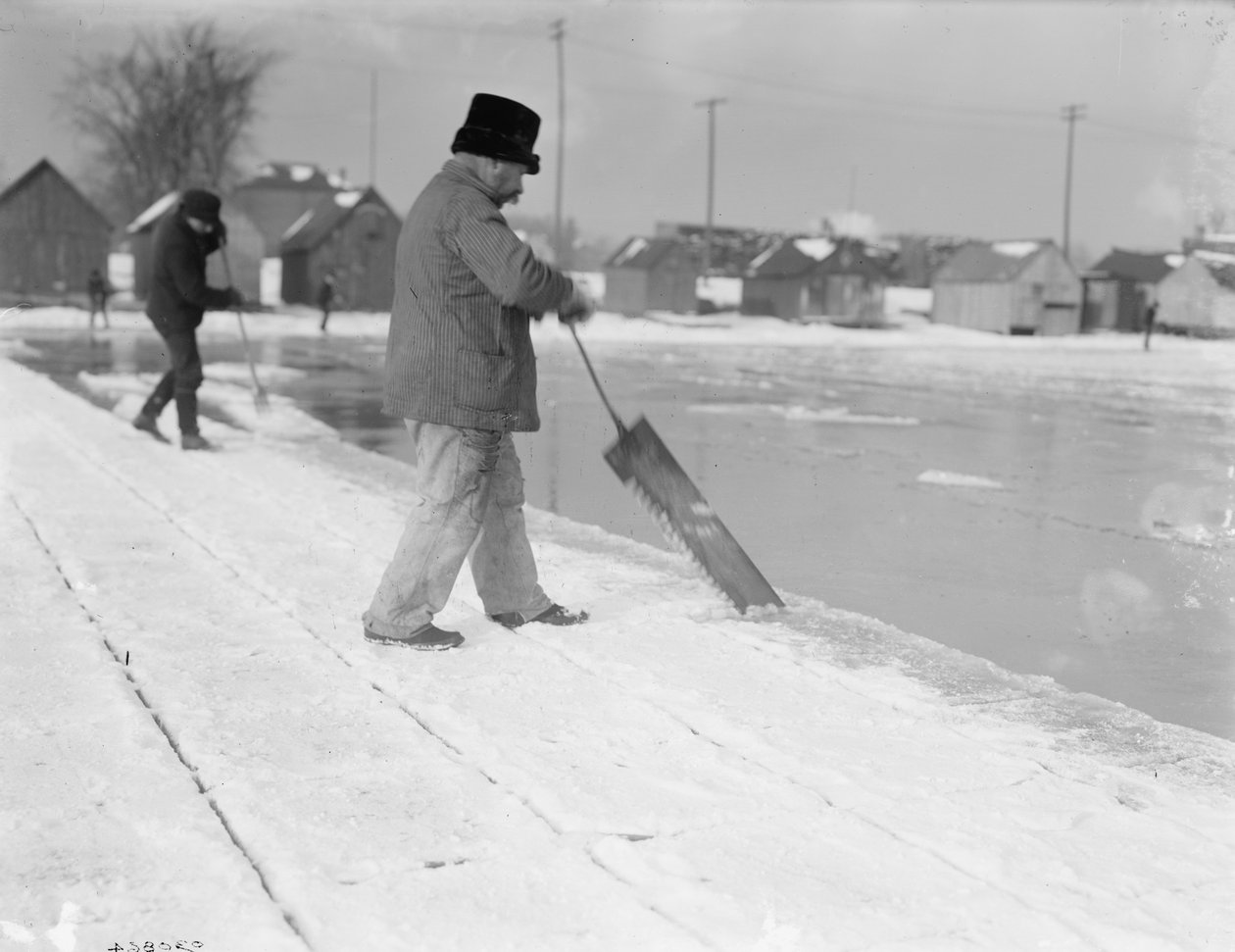 Ishøst, savning, ca.1900-10 af Detroit Publishing Co.