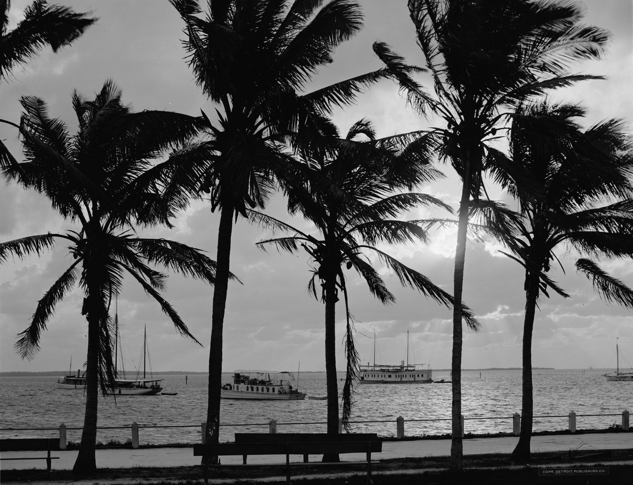 Sunset, Biscayne Bay, Miami, Florida, ca. 1910-20 af Detroit Publishing Co.