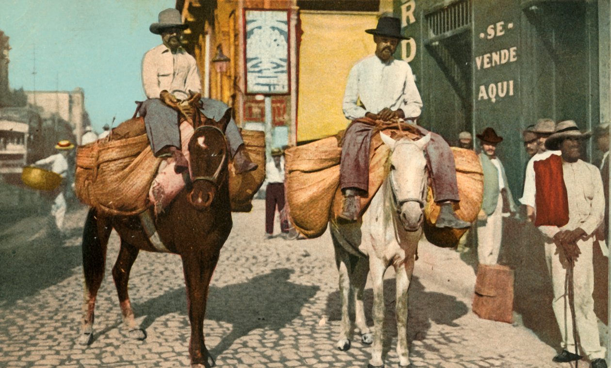 Grøntsagsmænd, Havana, Cuba, 1904. af Detroit Photographic Company