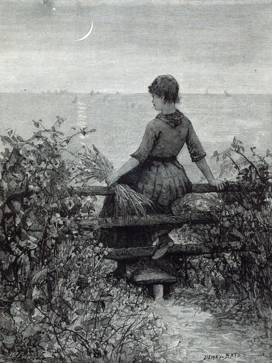 Fisher