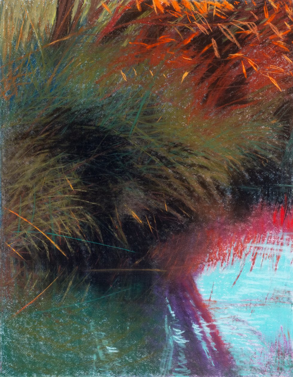 Red Willow 1b, 2021 (pastel på papir) af Diana Jahns