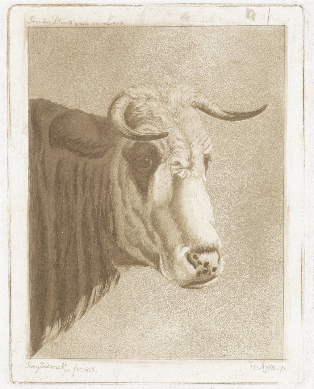 kagekop af Diederik Jan Singendonck
