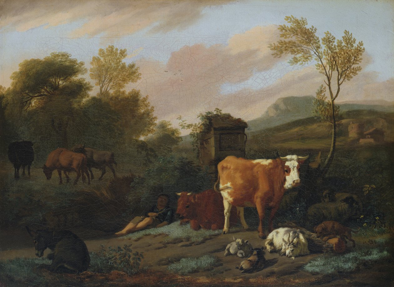 Animalia af Dirck van Bergen