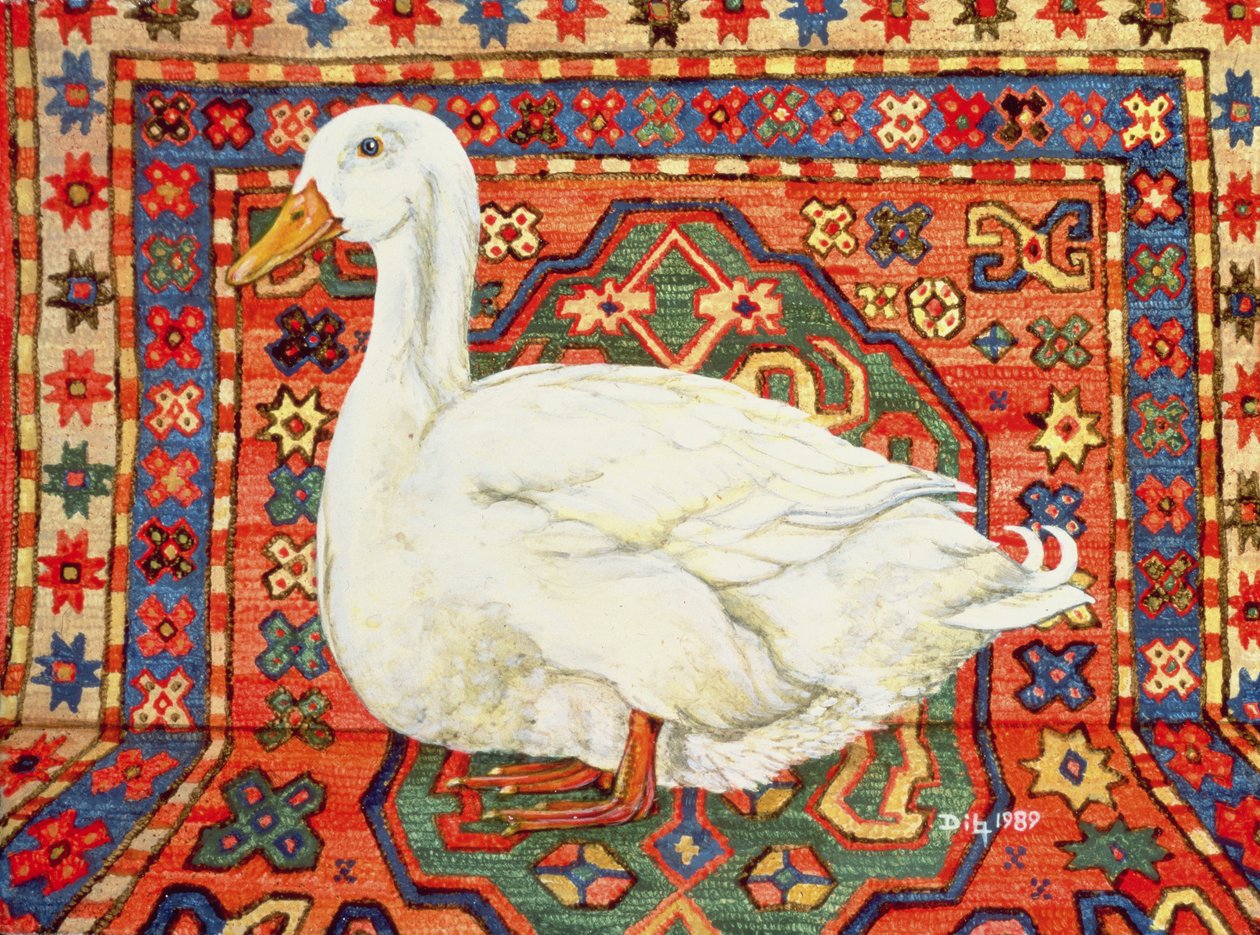 Aylesbury Carpet Drake af Ditz