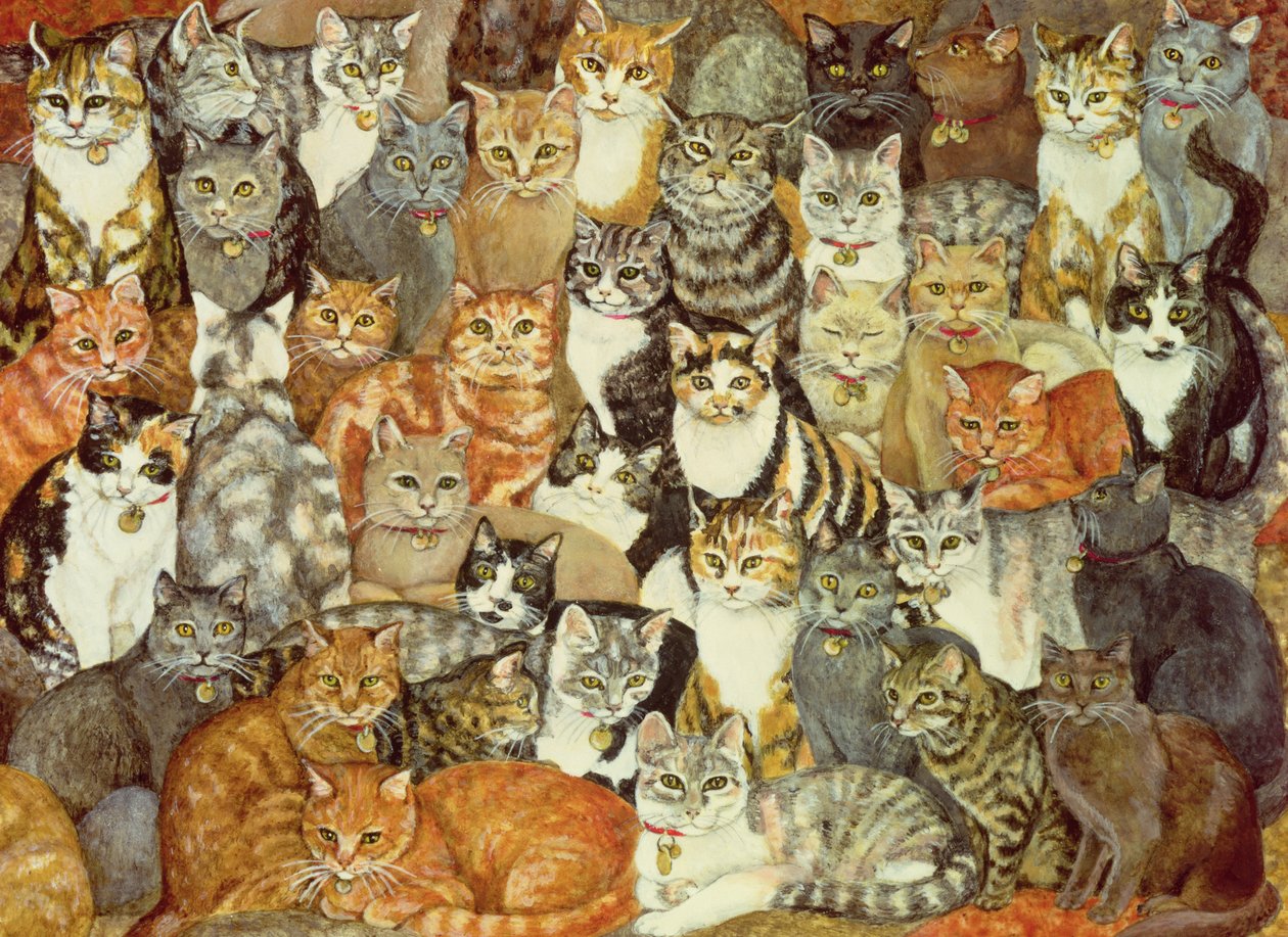 Cat-Spread af Ditz