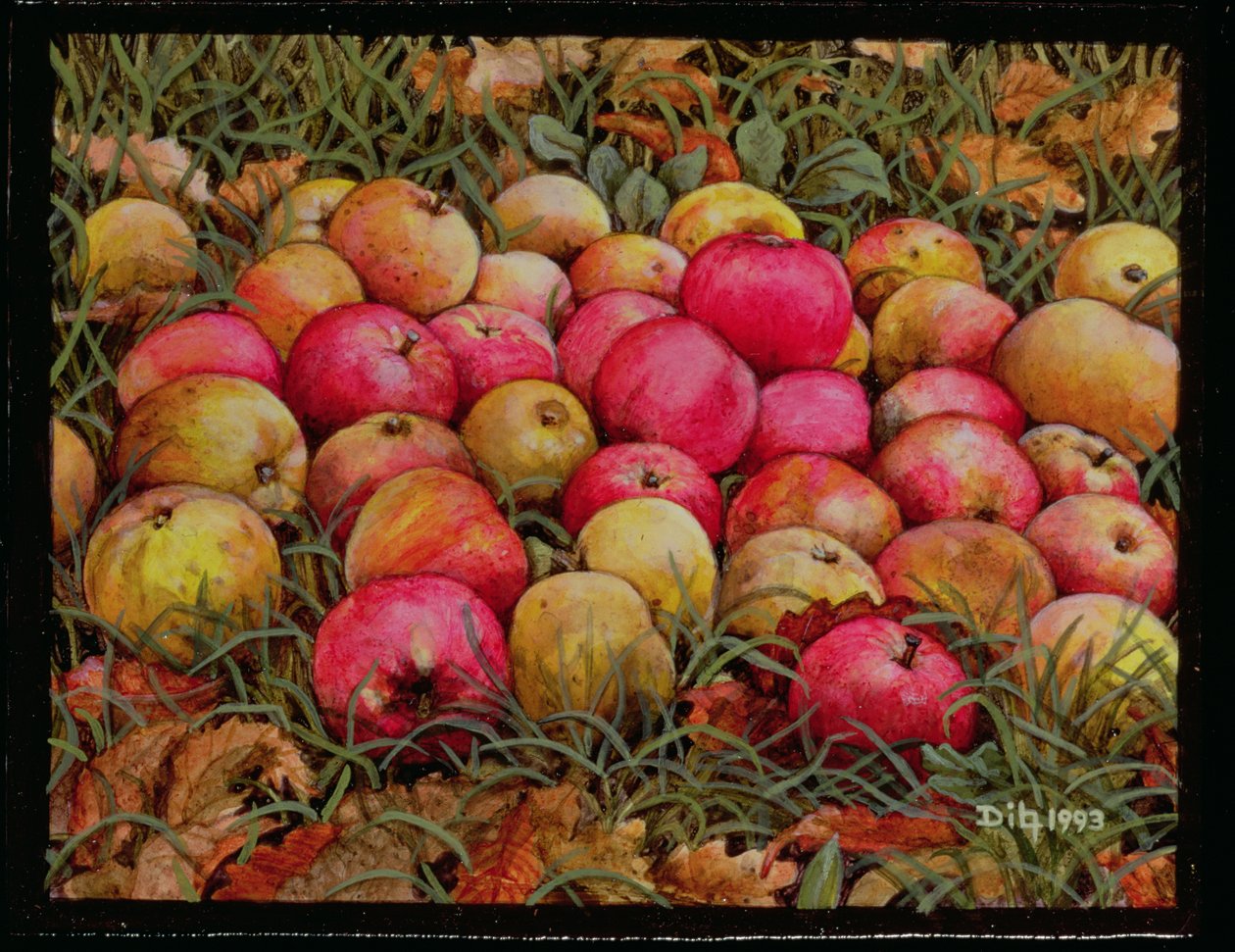 Durnitzhofer æbler, 1993 af Ditz