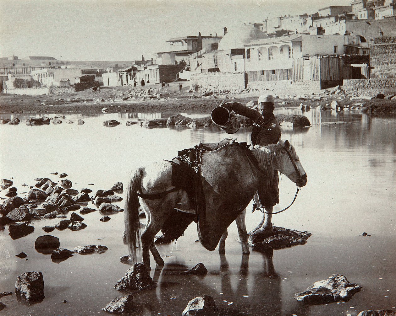 En Vandingsplads, 1880