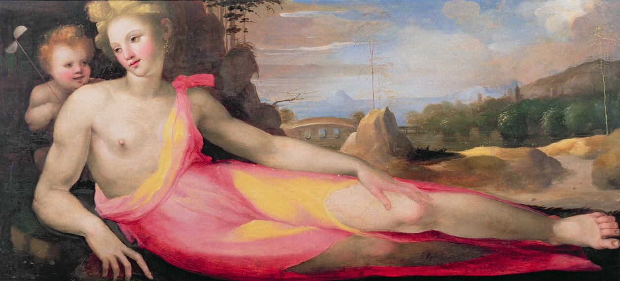 Venus og Amor, ca.1519 (panel) af Domenico di Pace Beccafumi  