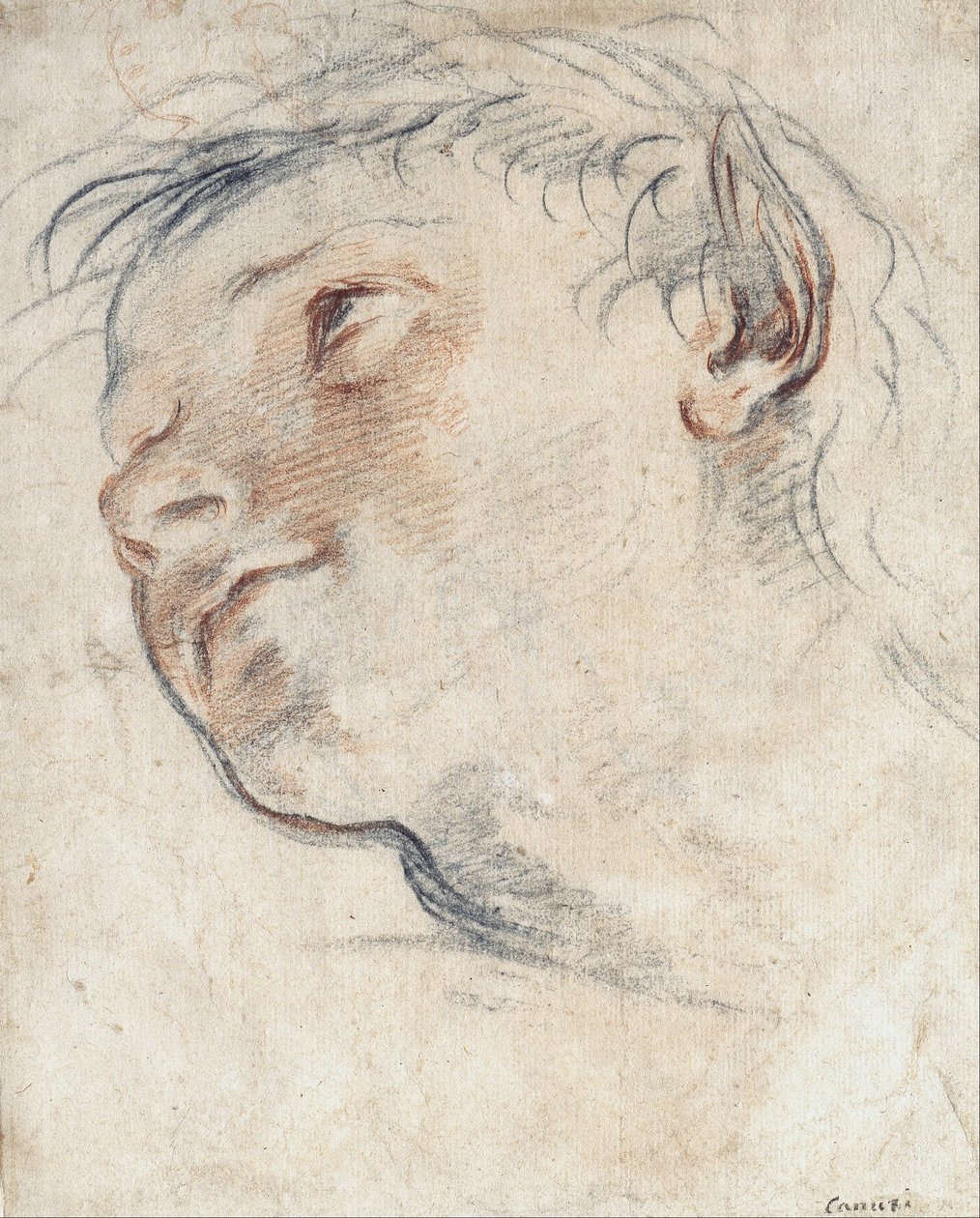 Undersøgelse for lederen af en faun af Domenico Maria Canuti