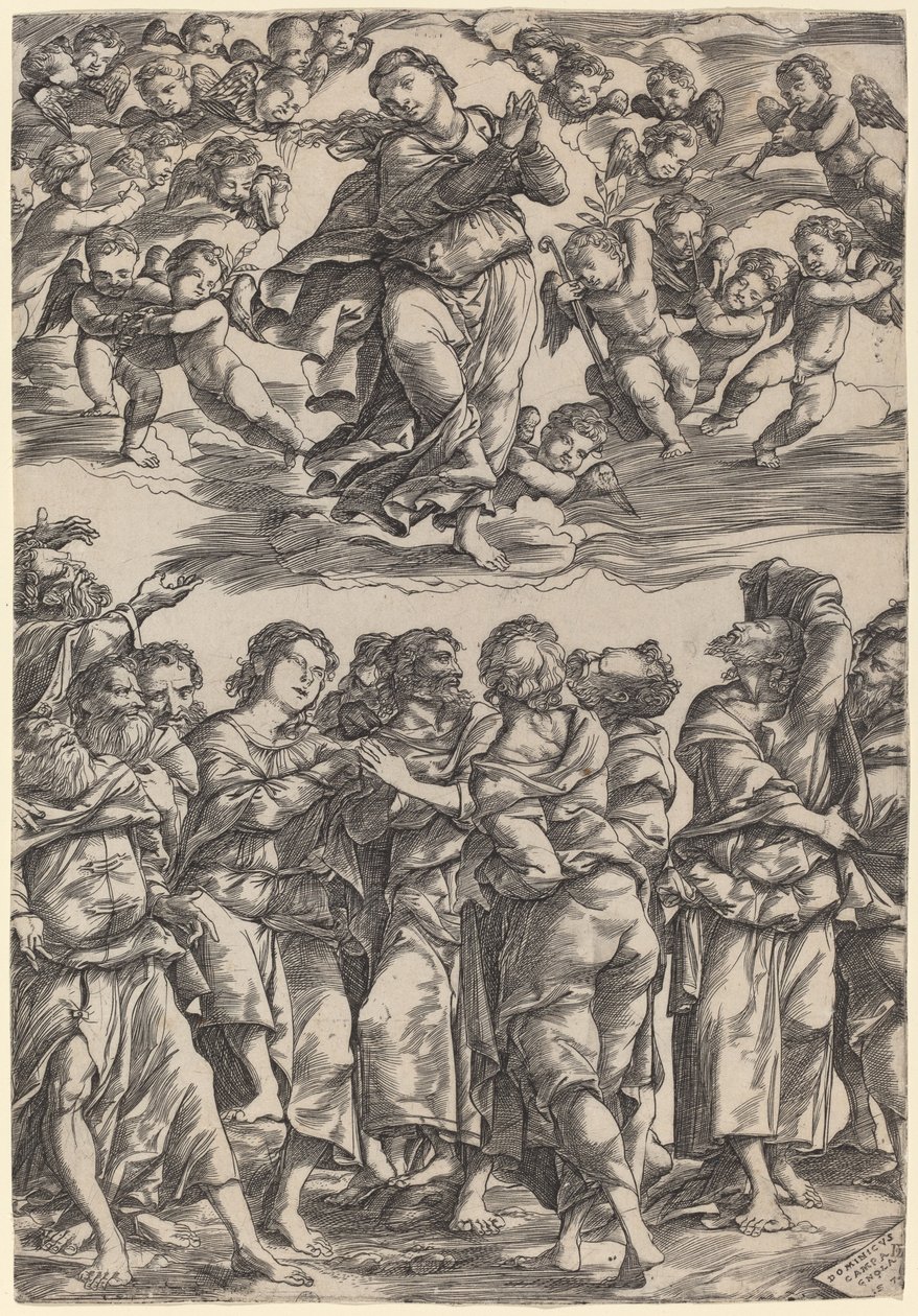 Jomfruens antagelse af Domenico Campagnola